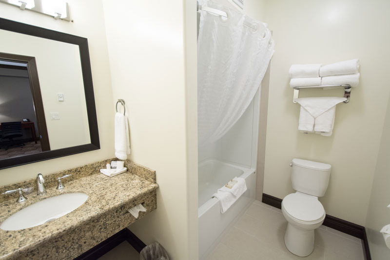 king suites in Chateau Nova Peace River Hotel 